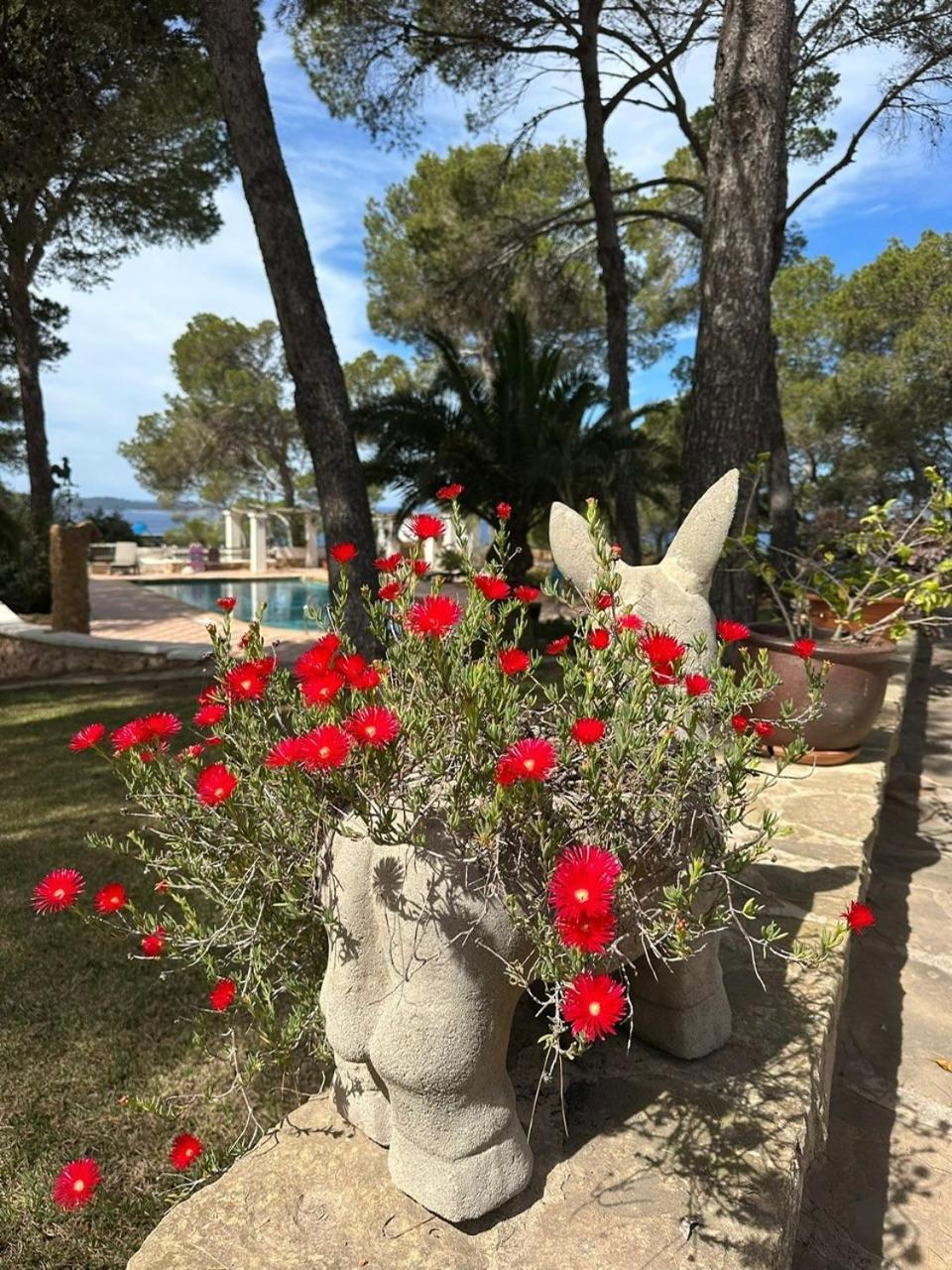 Villa Colina Ibiza San Antonio  Exterior photo